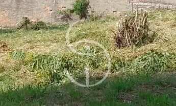 Imagem 4: TERRENO Jardim América São Leopoldo