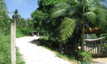 Imagem 3: AREA - LARANJA AZEDA - SP