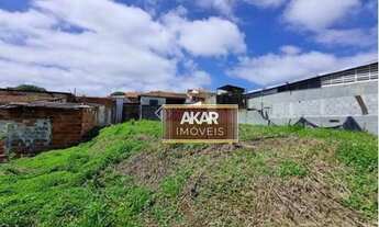 Imagem 5: TERRENO EXCELENTE LOCALIZACAO