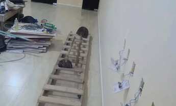 Imagem 2: Casa nova, no Loteamento Novo Aleixo, com 3 quartos, sendo 2 suítes, - Manaus - AM