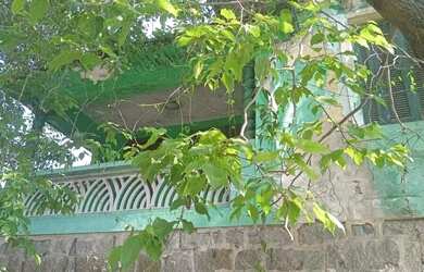 Imagem 5: Terreno à venda, 260 m² por R$ 460.000,00 - Vila Alzira - Santo André/SP