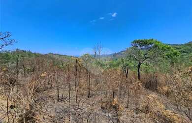 Imagem 6: Terreno à venda em Remédios - SP