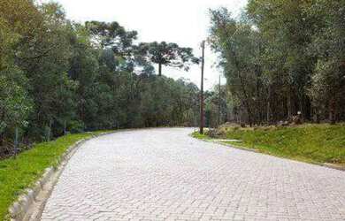 Imagem 5: Lote em condomínio em Jose Pedro Piva - Sinoserra - Canela/RS