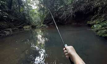 Imagem 3: Terreno com cachoeira