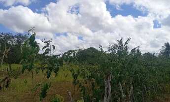 Imagem: Uma tarefa de terra