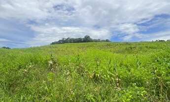 Imagem 6: Lotes para venda tem 1000 metros quadrados em Colégio - Ibiúna - SP