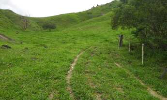 Imagem 5: Sitio 2,5 alqueires