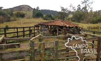 Imagem 4: Sítio para agropecuária e Agricultura. 100% tratorável!