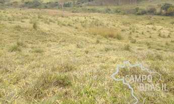 Imagem 7: Sítio para agropecuária e Agricultura. 100% tratorável!