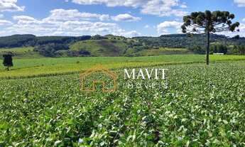 Imagem 5: Terreno Rural 25 hectares com Casa e Galpão em Capão Alto SC