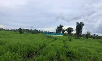 Imagem 5: Fazenda em Pacajá - PA