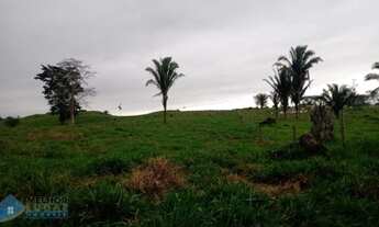 Imagem 2: Sítio 42 alqueires Jaru