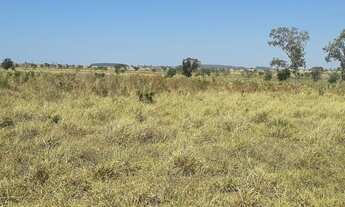 Imagem 4: EXCELENTE FAZ. MUNI. DE SANTO ANTÔNIO DO LESTE