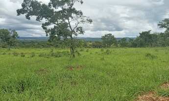 Imagem 3: Terrenos de 2 hectares com terra de plantio, lagoa e vista linda a 50minutos de BH