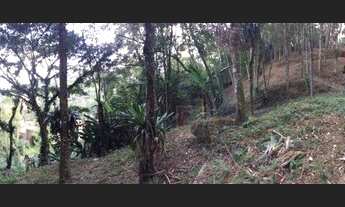 Imagem 4: Excelente terreno em lugar bucólico, próximo ao centro da cidade