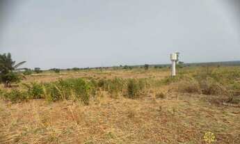 Imagem 6: Fazenda de 490 Hectares à venda em Marianópolis do Tocantins/TO