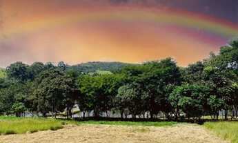 Imagem 7: Lote com 1000M a venda direto com o proprietário