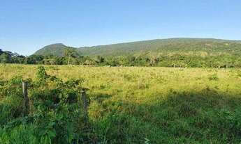Imagem: Fazenda em Cáceres à venda, 17640000 m²