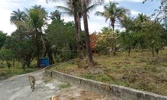 Imagem 2: Sítio para Venda, Belo Horizonte / MG, bairro rural, 3 dormitórios, 1 suíte, 1 banheiro, 5