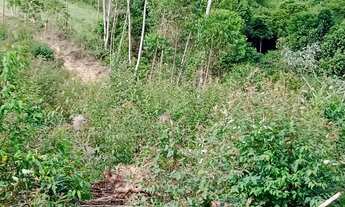 Imagem 6: Lote/Terreno para venda com 1000 metros quadrados em Quiririm - Taubaté - SP