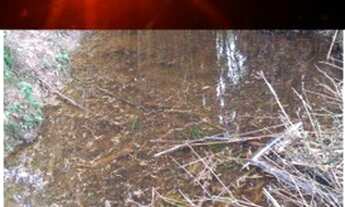 Imagem 5: Área de Terra 3.740 m² no Melhor de Glorinha de barbada!!!