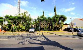 Imagem 16: Terreno à venda, 980 m² por R$ 1.300.000 - Pilarzinho - Curitiba/PR