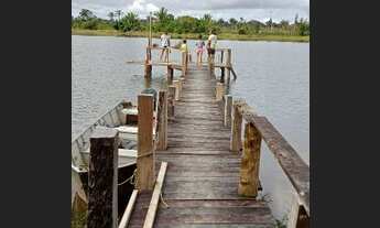Imagem 7: Fazendas em Rondônia para lavoura