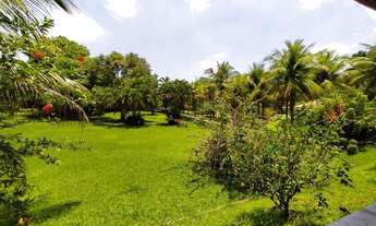 Imagem 7: Sítio para Venda em Saquarema, Sampaio Correa, 6 dormitórios, 1 suíte, 4 banheiros, 7 vaga