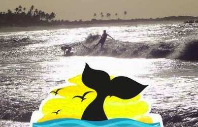 Imagem 6: Pousada com 12 chalés à venda - Centro - São Miguel do Gostoso/RN