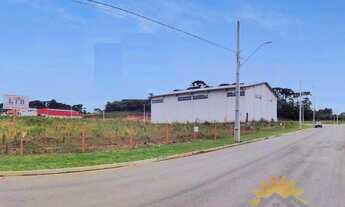 Imagem 7: ÁREA INDUSTRIAL GREEN COMPANY