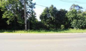 Imagem: Terreno para Venda em Quatro Barras, Jardim