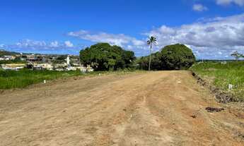 Imagem 2: Condominio - Lotes de 200 metros quadrados em Malícia (Abrantes) - Camaçari - BA