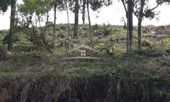 Imagem 6: GRAMADO - Terreno Padrão - Vale das Colinas