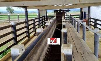 Imagem: Fazenda 1260 Alqueires - Pedra Azul-MG