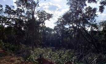 Imagem 2: 26 Terrenos Planos de 500m² em Ibiúna-SP UERNVD