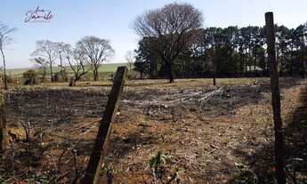 Imagem 7: Terreno espaçoso, ao lado do Parque da Grama