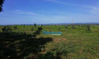 Imagem 5: Fazenda a venda - área rural