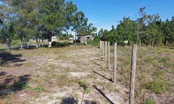 Imagem 6: Passo de Torres - Terreno Padrão - Tapera