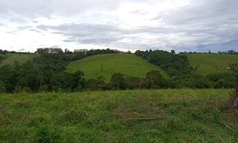 Imagem 7: Fazenda 50 Alqueires, Próximo Itapetininga-Sp
