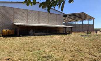 Imagem 4: EXCELENTE FAZ.MUNI.DE PRIMAVERA DO LESTE - MT