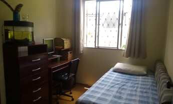 Imagem 5: BELO HORIZONTE - Padrão - Gameleira