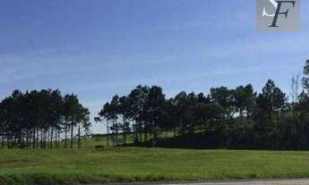 Imagem: Área, 10900 m² - venda por R$ 3.900.000