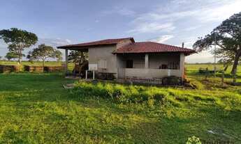 Imagem 4: Fazenda aberta à venda, 1.450 Hectares em Pium do Tocantins