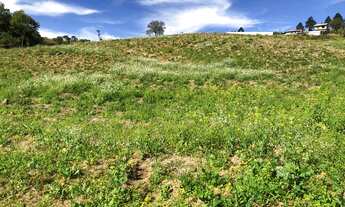 Imagem: Terreno de 1.000m2 bem localizado no interior