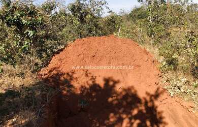 Imagem 6: EXELENTE FAZENDA NO MUNI. DE PRIMA VERA -MT