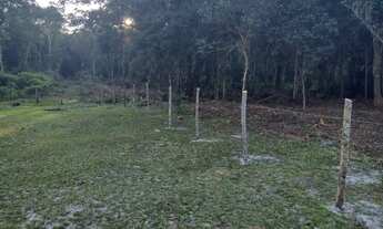 Imagem 7: Terreno para chácara