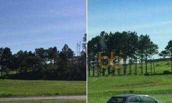 Imagem 1: Área, 10900 m² - Castelo Branco - Sorocaba/SP