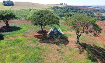 Imagem 5: Sítio à venda, 12,4 Alqueires por R$ 2.480.000 - Irerê - Londrina/PR