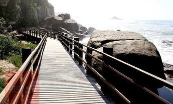 Imagem 5: Terreno à venda, 1043 m² por R$ 120.000,00 - Chácaras Itamar - Itanhaém/SP