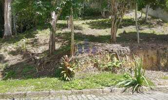 Imagem 6: Terreno à venda, 816 m² por R$ 280.000,00 - Cônego - Nova Friburgo/RJ